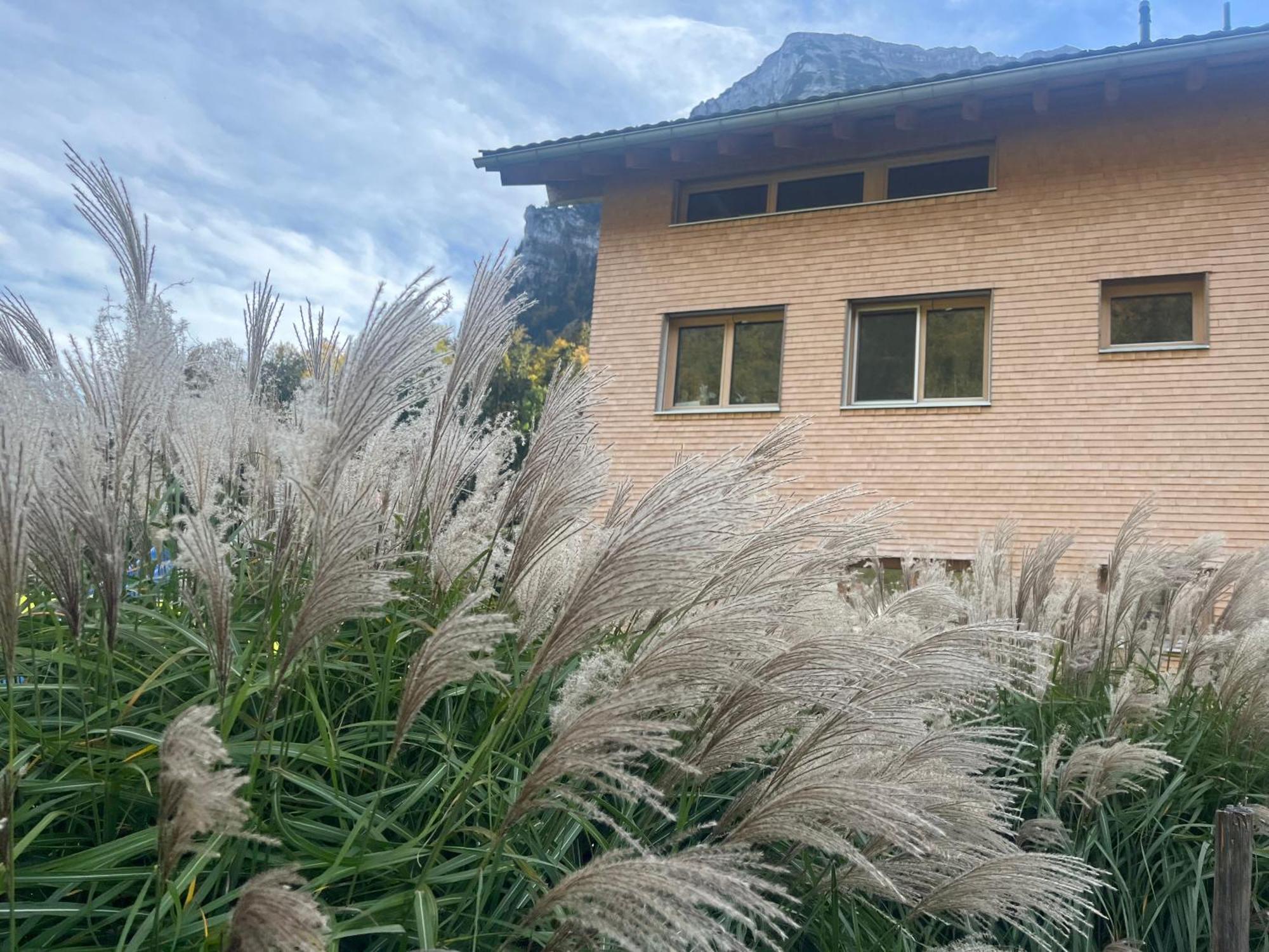 Ferienwohnung Berchtold Schnepfau Buitenkant foto